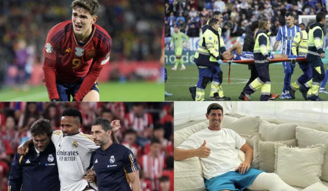 球迷们带来 球迷们带来